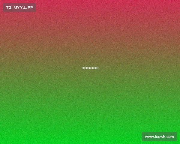 电子竞技俱乐部内部结构